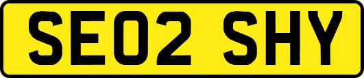 SE02SHY