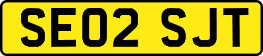 SE02SJT
