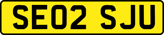 SE02SJU