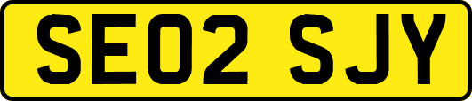 SE02SJY