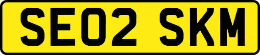 SE02SKM