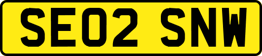 SE02SNW