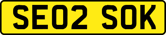 SE02SOK