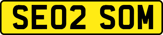 SE02SOM