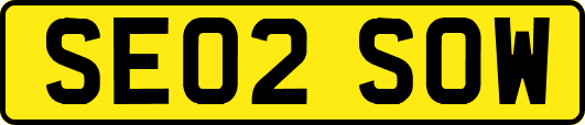 SE02SOW