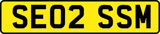 SE02SSM
