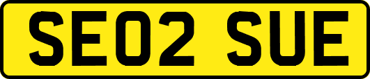 SE02SUE