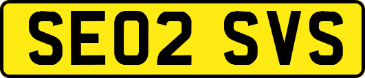 SE02SVS