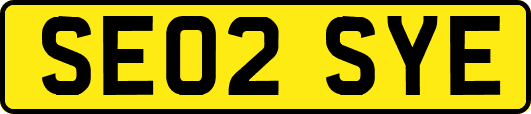 SE02SYE