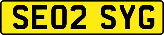 SE02SYG