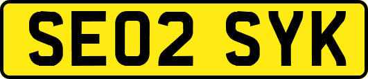 SE02SYK