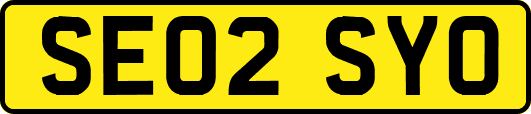 SE02SYO