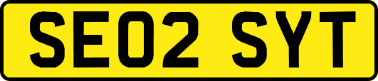SE02SYT