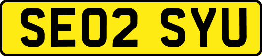 SE02SYU