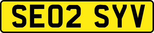 SE02SYV