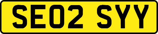 SE02SYY