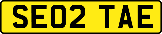 SE02TAE