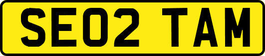 SE02TAM