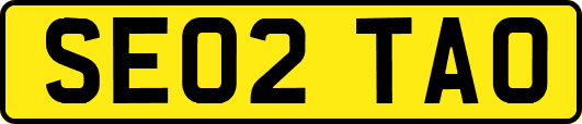 SE02TAO