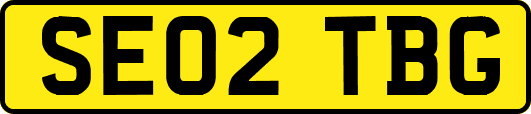 SE02TBG