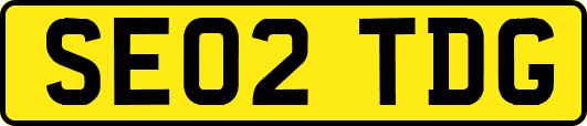 SE02TDG