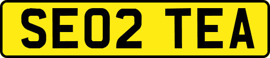 SE02TEA
