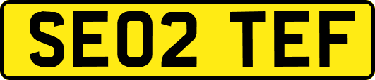 SE02TEF