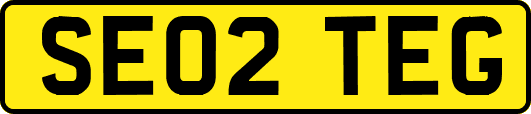 SE02TEG