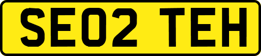 SE02TEH