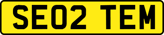 SE02TEM