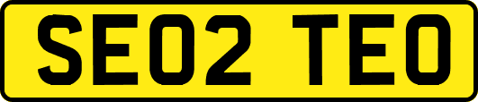 SE02TEO