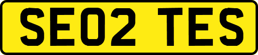 SE02TES