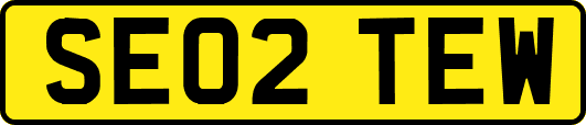 SE02TEW
