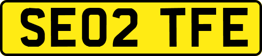 SE02TFE