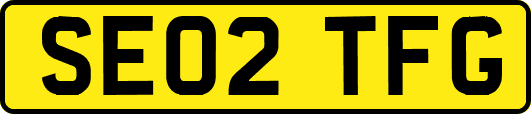 SE02TFG