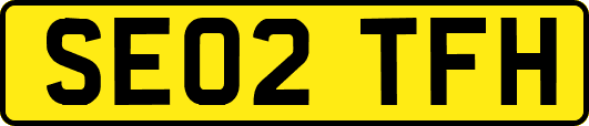 SE02TFH