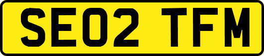SE02TFM