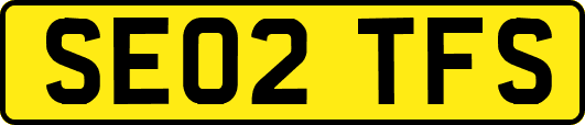 SE02TFS