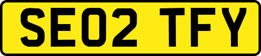 SE02TFY