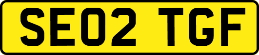 SE02TGF