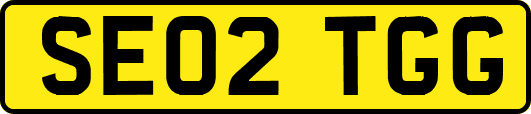 SE02TGG