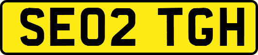 SE02TGH