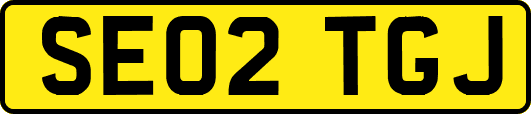 SE02TGJ