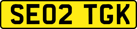 SE02TGK