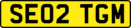 SE02TGM