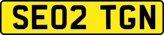 SE02TGN