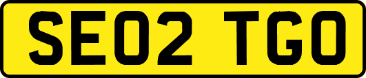 SE02TGO