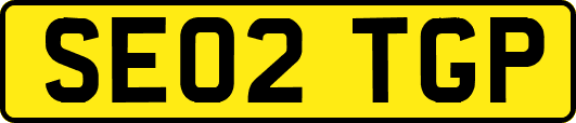 SE02TGP