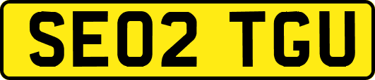 SE02TGU