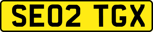 SE02TGX